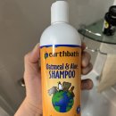 베스애견 이미지