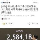 코스피 2600선 붕괴 이미지