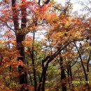 상원사샘터 이미지