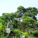 참나무공원 화장실 이미지