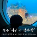 제주아이 | [공지] 5살 아이와 제주 서귀포 잠수함 후기｜아이가 울 정도로 아쉬워했던 이유
