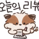댕복한하루 이미지