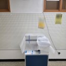 평화인쇄명함 | K고등학교의 대규모 교체 프로젝트! 빠르고 선명한 학교 복사기 삼성 SL-X6250LX 세팅 후기