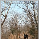 삼학도 이난영 공원 이미지