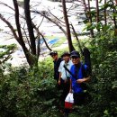 뉴팔레스빌 이미지