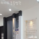 하이유 동물병원 이미지