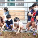 꿈빛유치원 이미지