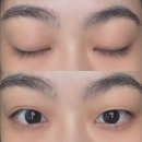 더함 노원점 | 속눈썹 연장 너무 완벽한 "더함네일" 노원점 방문 후기