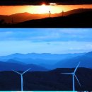 자동목장 이미지