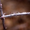 수통골 우중산행 ~ 이미지