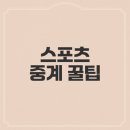 베스트올 가능점 | 베스트티비 최신주소 확인, 스포츠 라이브 중계 보는 방법
