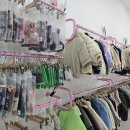 스프링데이 이미지