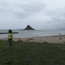 오하우 섬의 부속 섬인 중국인 모자섬(Chinaman's Hat lsland, Mokolii lsland)을 관람할 수 있는 전망대 이미지