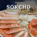 강남관광정보센터 | 속초 대게 맛집 추천 대포항 회센터 자연산 횟집 애견동반 식당 강남활어