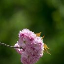 청수정가든 이미지