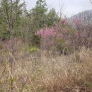 월롱리경로당 이미지