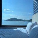하르딘(Jardin) | 화양면 펜션 하르딘 오션뷰 정원과 수영장 구성이 좋았던 후기