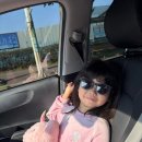 우진고속관광 | 제주도 보름 살기 프롤로그 - 퀸제누비아호