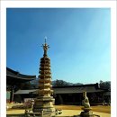 다시봄;그리다