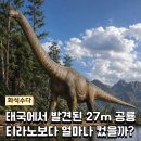 엔시스(주) | 태국 공룡 발견, 27m 나가티탄은 티라노사우루스보다 얼마나 컸을까?