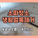 루원서울약국 | 가정동 소파청소 루원시티 생활얼룩 제거 방법 및 후기