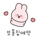 수원고양이분양 도레미캣 이미지