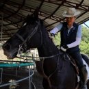 구일농장1 이미지