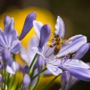 명곡초등학교 이미지