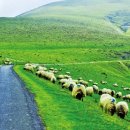 별과 함께 이미지