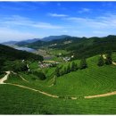 은곡다원 이미지