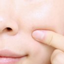 프레비스 이미지