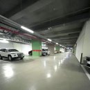 (주)써지엑스 | 대구 범어동 필라테스 더써지 방문 후기🧘‍♀️ 필라테스 처음 해본 사람