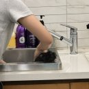 메리도그하우스 이미지