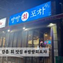 하슬라로 192번길 | 강릉 현지인 추천 횟집 #빵빵회포차 방문 후기
