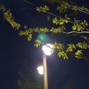 다온누리행정사사무소 이미지