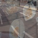 펫영양사 이미지