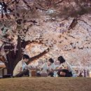 주관적 시간 이미지