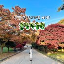 씨유 가야공원점 | 서울 단풍 명소 올림픽공원 단풍 실시간 | 올림픽공원역에서 나홀로나무 가는법