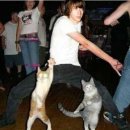 이태원 불꽃 이미지