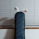 모노덴트 이미지