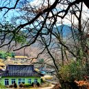 강부자 농장 이미지