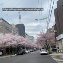 자연산돌구이삼겹살 네이버블로그