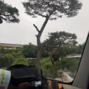 문경게이트볼장 이미지