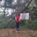 장미의거리13 이미지