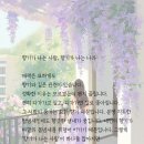 묘한향기 이미지