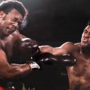 고릴라 복싱 이미지