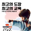 용소태권도 이미지