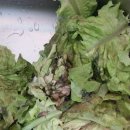 서포농협하나로마트 이미지