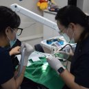 굿프렌즈치과의원 이미지