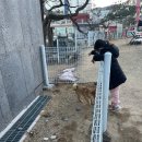 아트펫 갤러리 이미지